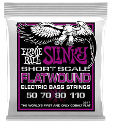 ERNIE BALL