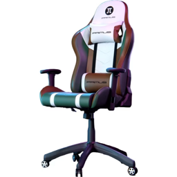 PRIMUS GAMING