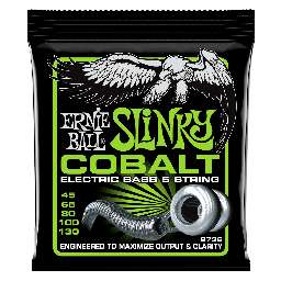 ERNIE BALL
