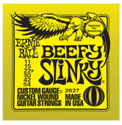 ERNIE BALL