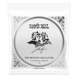 ERNIE BALL
